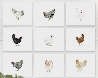 May include: Set of nine watercolor illustrations of chickens in various poses and colors. The chickens are depicted on a white background.