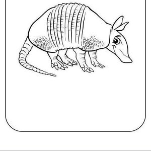 May include: A black and white line drawing of an armadillo. The armadillo is facing to the right and has a long tail.