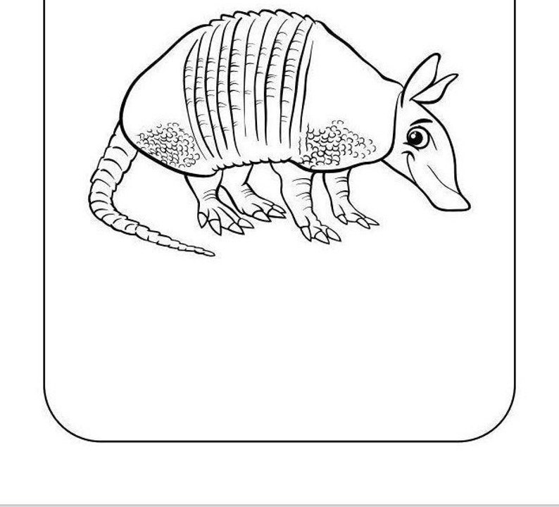 May include: A black and white line drawing of an armadillo. The armadillo is facing to the right and has a long tail.