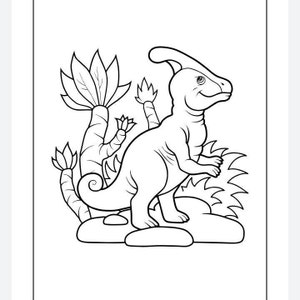 May include: A black and white line drawing of a dinosaur standing on a rock with plants behind it. The dinosaur has a long neck and a small head with a crest on top.