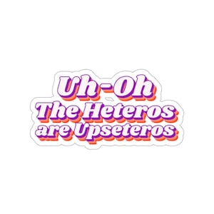 Gay Pride Sticker, LGBTQ Shirt, Lesbian Shirt, Pansexual Shirt, Coming Out Gift, Bisexual Shirt, Rainbow Shirt, Here and Queer, Funny LGBTQ