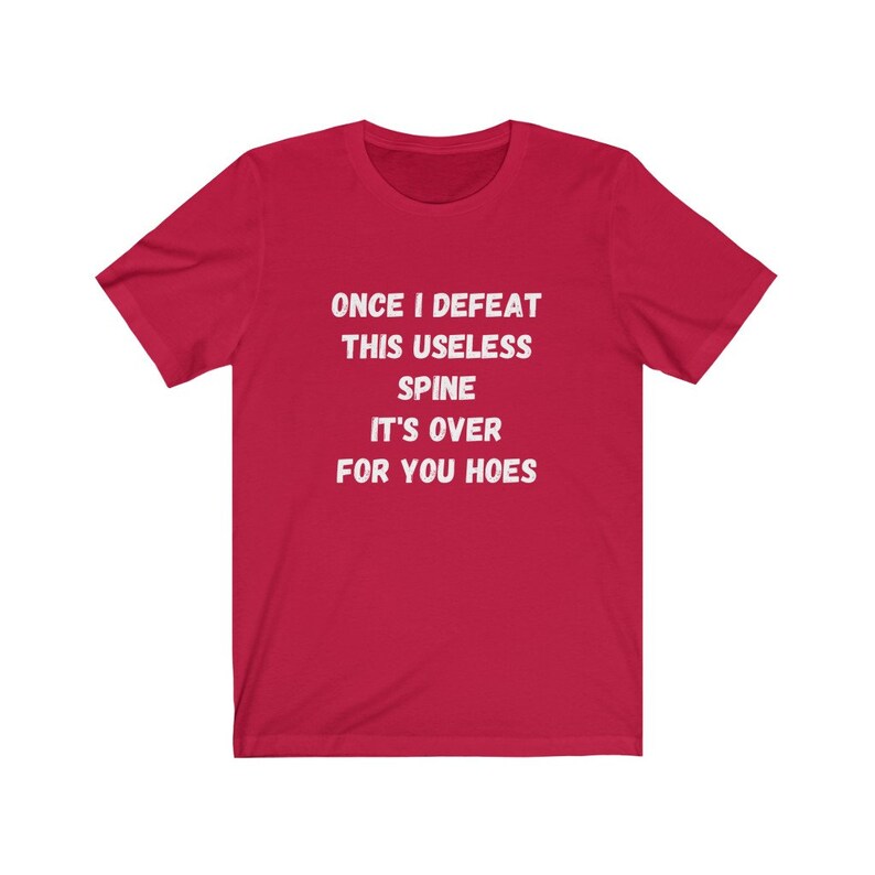 Skoliose Shirt, Spinal Fusion, Wirbelsäulen-Chirurgie-Geschenk, Skoliose-Bewusstsein, lustiges Skoliose-T-Stück, Skoliose-Krieger, Rücken-Chirurgie, unbrauchbare Wirbelsäule Red