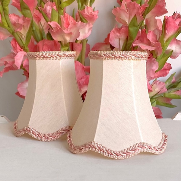 SET OF 2 Petite Fabric Lamp Shades. Pastel Pink French Vintage with Decorative Trim and Clip on Frame
