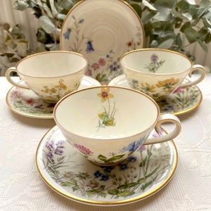 Der Preis gilt für 1 Tasse und 1 Untertasse. Teetasse und Untertasse Set mit Goldrand Krautheim Bavaria. Verschiedene Wildblumen Motive. Hat Fehler Siehe Fotos!