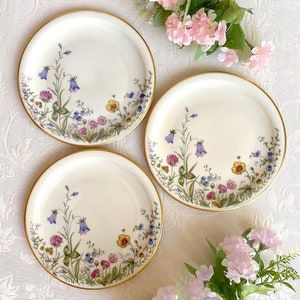 Price is for 1 Plate. Large Cake/Side Plate with Meadow Flower Motive Krautheim Bavaria Wiesengrund Bergeshöh'n Off White Porcelain. Scene K