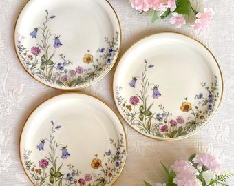 Price is for 1 Plate. Large Cake/Side Plate with Meadow Flower Motive Krautheim Bavaria Wiesengrund Bergeshöh'n Off White Porcelain. Scene K