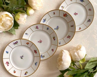 Kjøbenhavns Porcellains Maleri KPM Black Rose Antique 1910 Kjøbenhavns Porcellains Maleri KPM Black Rose Antique 1910