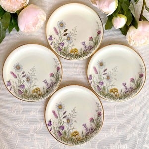 Price is for 1 Plate. Large Cake/Side Plate with Beautiful Meadow Flower Motive Krautheim Bavaria Wiesengrund Bergeshöh'n Porcelain. Scene G
