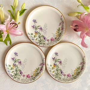 Price is for 1 Plate. Large Cake Plate with Beautiful Meadow Flower Motive. Krautheim Bavaria Off White Porcelain. Scene H. Read Description
