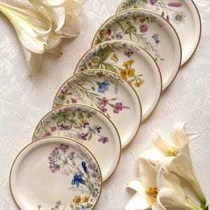 Price is for 1 Plate. 17 cm Diameter Large Cake/Side Plate with Assorted Meadow Flower Motive. Krautheim Bavaria Off White Porcelain