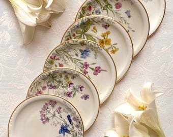 Price is for 1 Plate. 17 cm Diameter Large Cake/Side Plate with Assorted Meadow Flower Motive. Krautheim Bavaria Off White Porcelain
