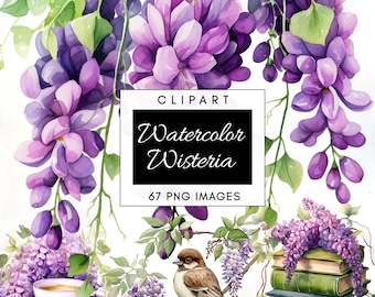 67 Wisteria Clipart Bundle, Watercolor Floral PNG, Digital Download for Crafts, Purple Wisteria, Commercial Use