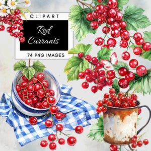 Czerwona porzeczka Clipart – Dzikie jagody Botaniczny PNG, Przezroczyste tło, Letnie wibracje Cyfrowe pobieranie na projekt ślubu