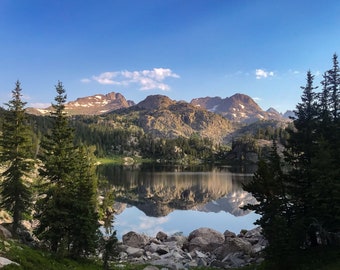 Window into the Alpine