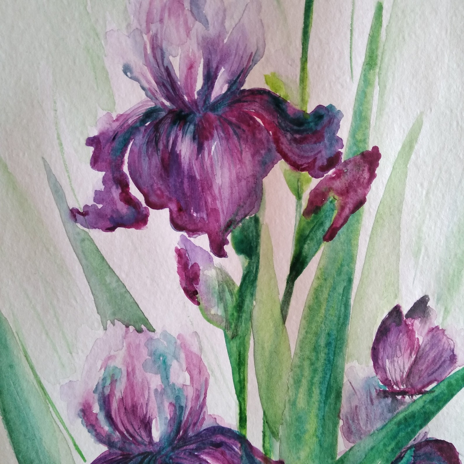 Irises Violet Peinture Originale Aquarelle Iris Fleurs Etsy