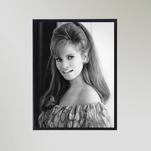 Raquel Welch (1967) Print Poster Picture Gift In Various Sizes Unframed