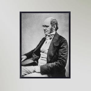 Charles Darwin Portrait Print Poster Picture Gift In Various Sizes Unframed