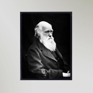 Charles Darwin (1869) Portrait Print Poster Picture Gift In Various Sizes Unframed