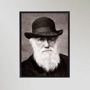 Charles Darwin (1880) Portrait Print Poster Picture Gift In Various Sizes Unframed