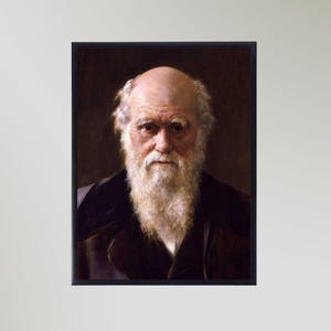 Charles Darwin Painting Print Poster Picture Gift In Various Sizes Unframed