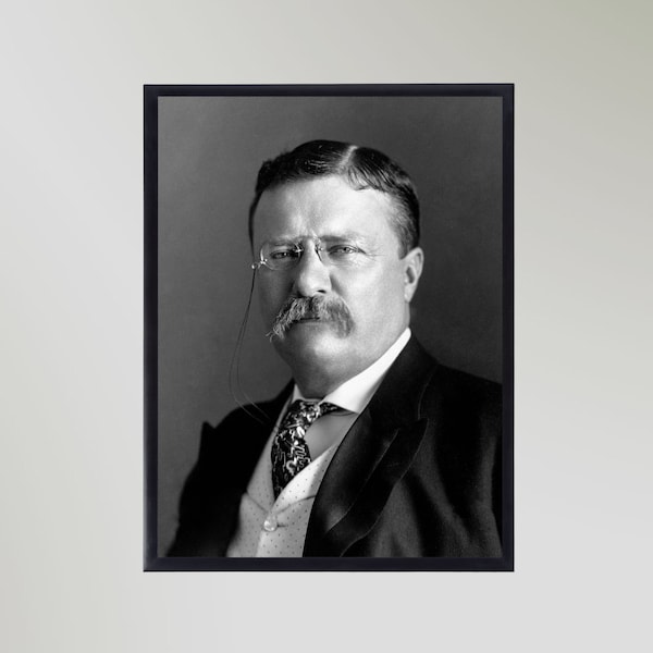 Teddy Roosevelt Etsy