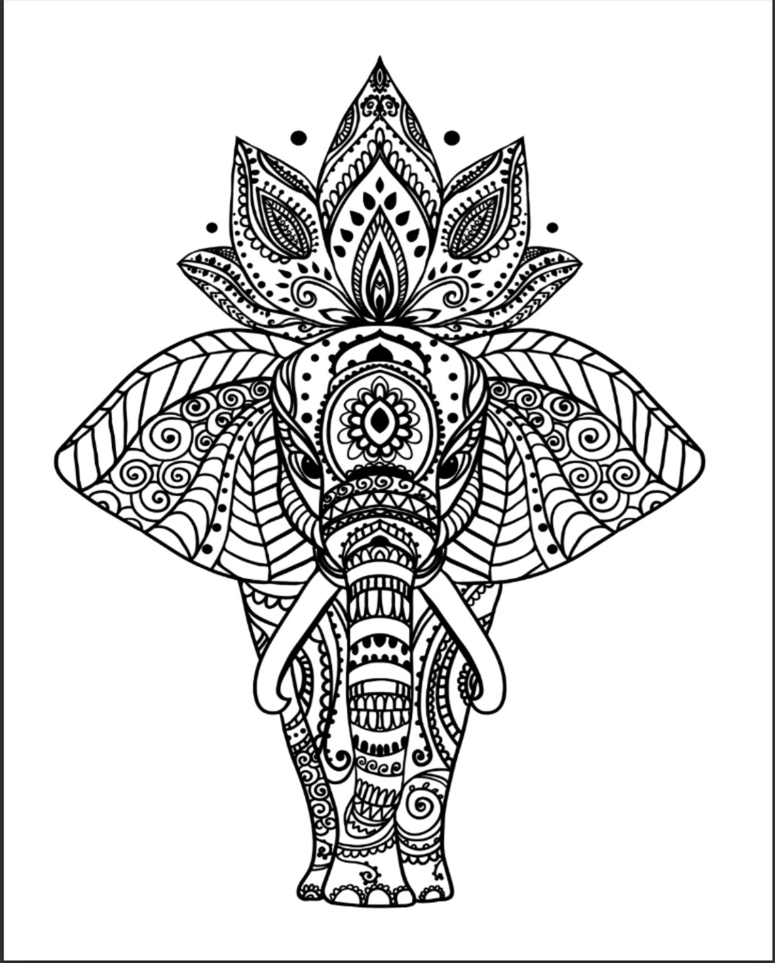 Mandala Animal Coloring Pages - Etsy