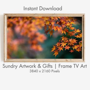May include: A framed print featuring a vibrant autumn scene. The artwork showcases a close-up of orange and yellow maple leaves against a blurred green and blue background. The frame is a light brown color. Text at the top says "Instant Download".