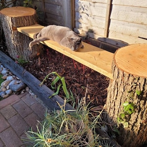Garden Bench