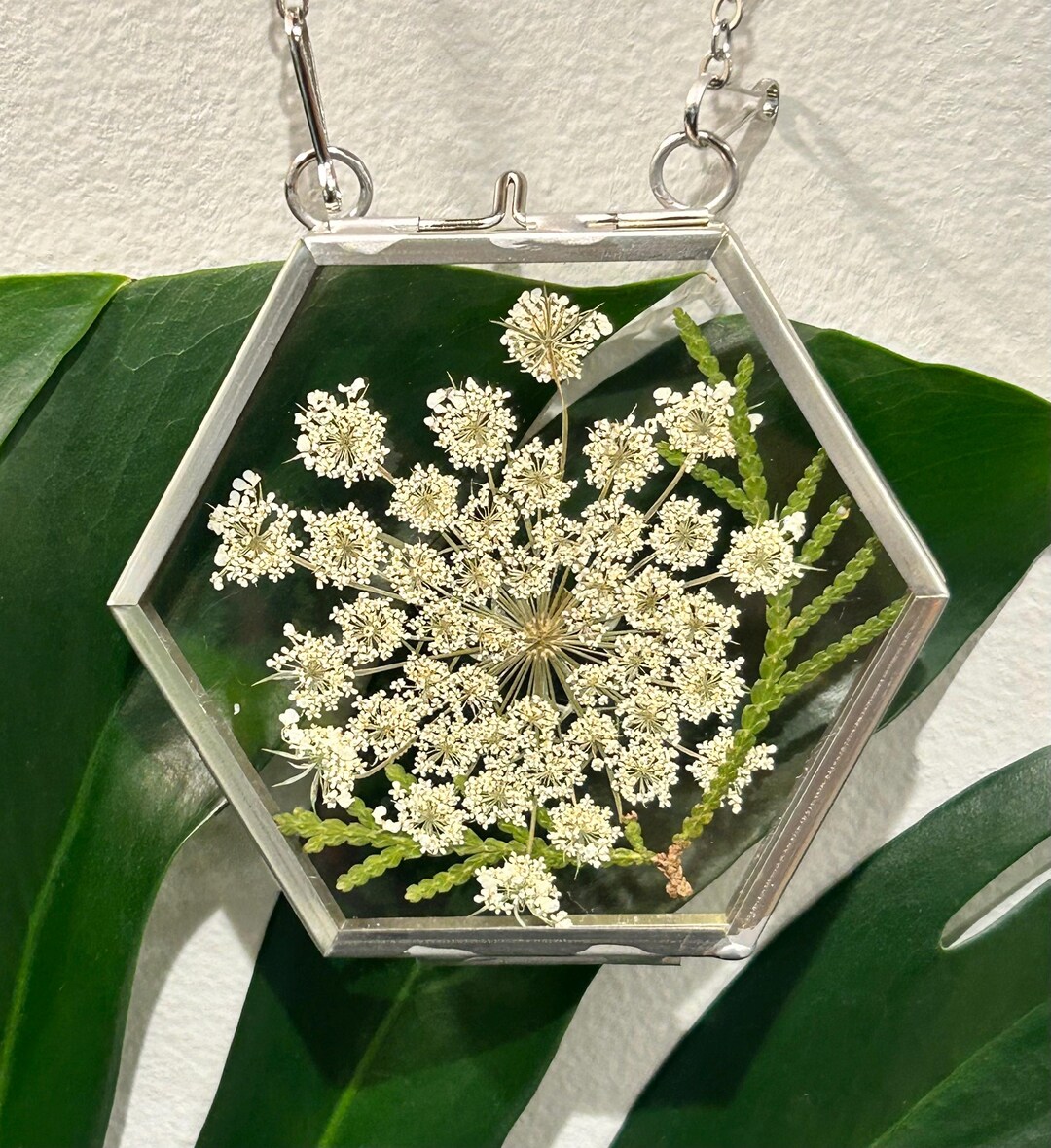 Pressed Flower Frame: Botanical Silver Hanging Wall Art - Etsy