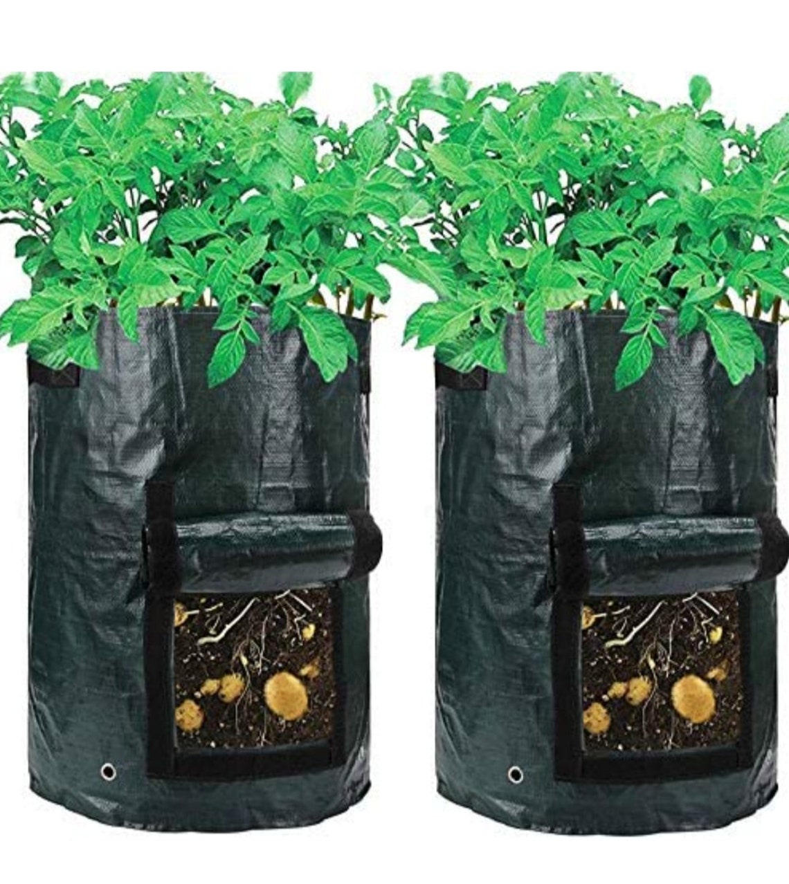 2 Pack 10 Gallon Gardening Bags Vegetable Grow Bags FREE Etsy