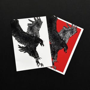 May include: Two black and white illustrations of a bird of prey with its wings spread. One illustration is on a white background and the other is on a red background.