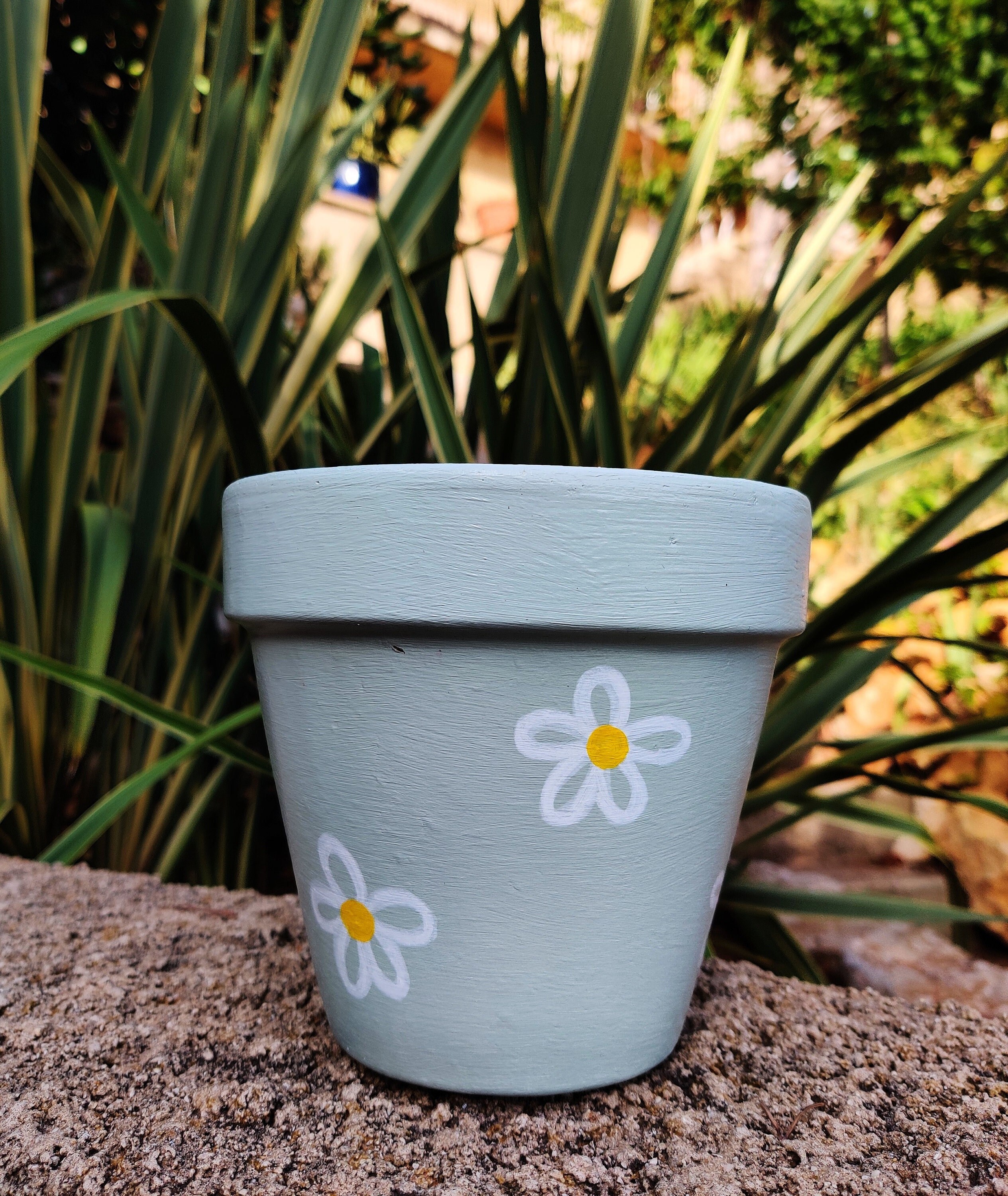 Pot en Terre Cuite Vert Pale Marguerite Gamme Provence Pour Décoration