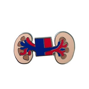 Renal Kidney Artery Vein Nephrology Vascular Enamel Pin