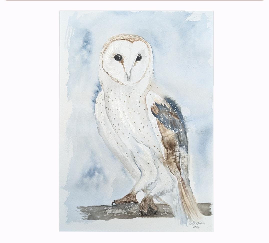 Barn Owl Art Print from Original Watercolour by Susannah Harpham