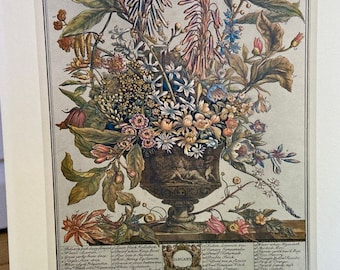 Puede incluir: Una ilustración botánica vintage que representa un ramo de flores en un jarrón. Las flores están dispuestas de forma simétrica e incluyen una variedad de colores, como rosa, blanco, amarillo y azul. La ilustración está etiquetada con el mes de "ENERO" y los nombres de las flores del ramo.