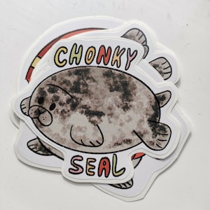Set di adesivi Chonky Seal