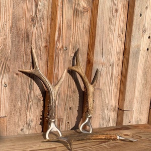 Antler bottle opener roebuck