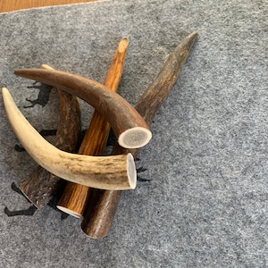 Red deer antler tips approx. 15 cm long
