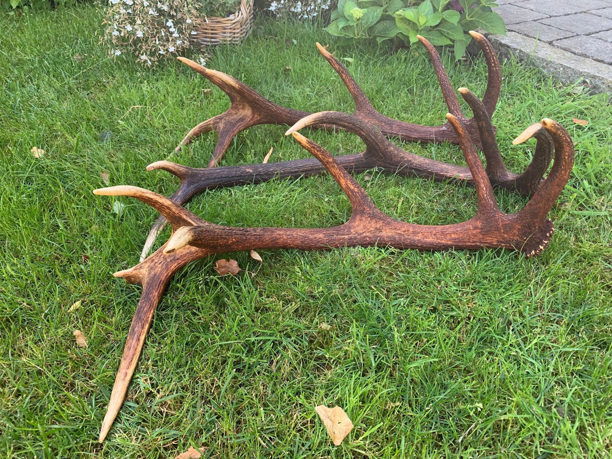 Kfwfuaee Serre-tête Bois De Cerf Réaliste – Oreilles De Renne Pour Halloween, Noël, Cosplay – Élastique, Taille Adulte Et Enfant – Polyuréthane Résistant