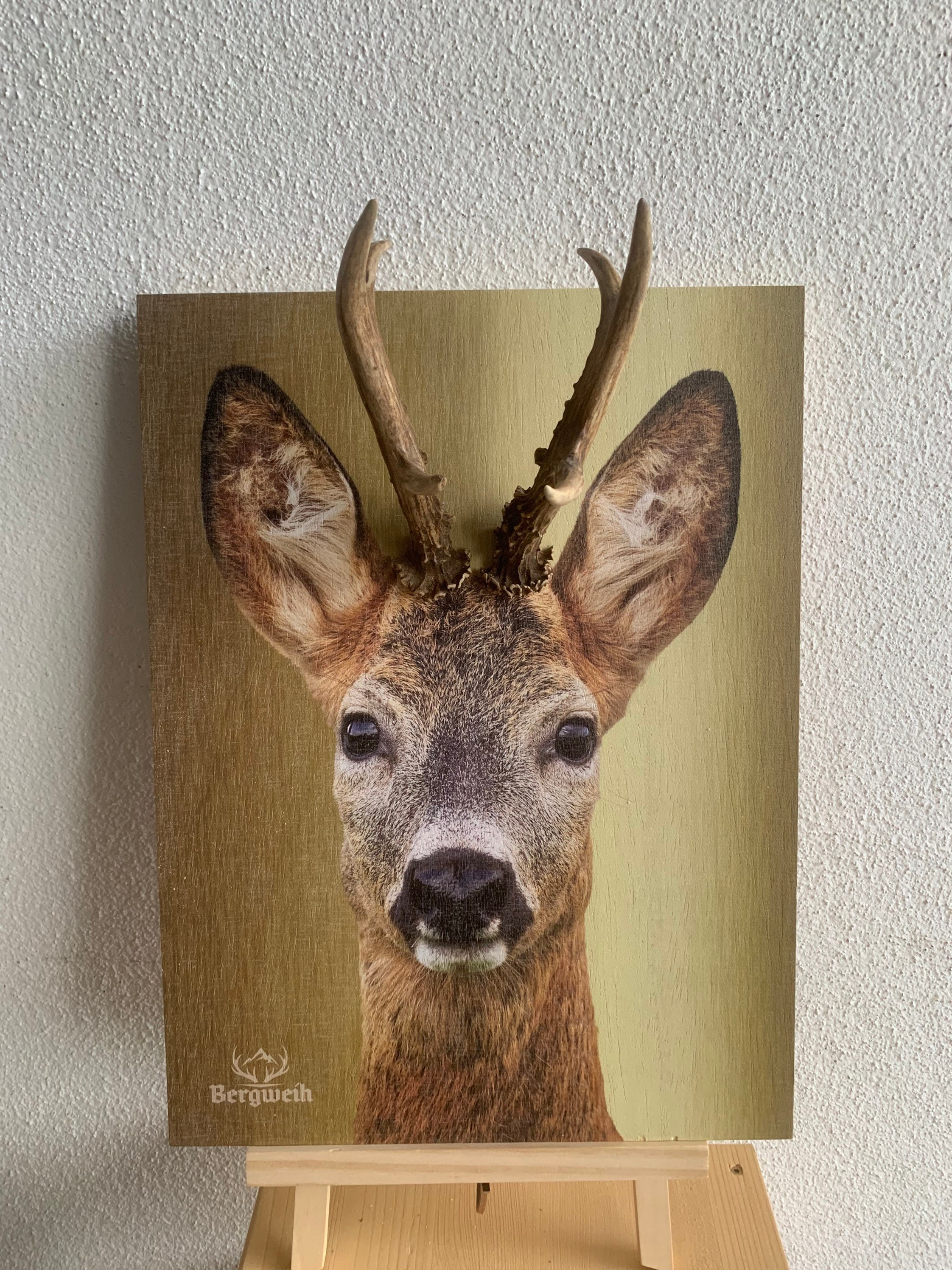 Robuck Background Roebuck Fritzi Background Gold - Etsy