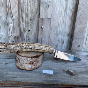 Peut inclure: Un couteau à lame fixe doté d'une lame en métal argenté poli et d'un manche en bois de cerf texturé aux tons marron et beige. Le couteau est placé horizontalement, reposant sur un petit bloc de bois cylindrique aux bords écorcés.