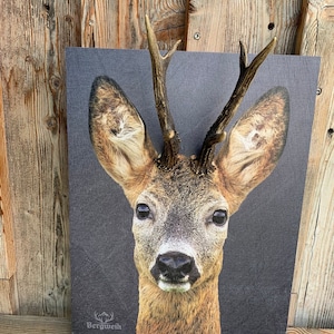 roebuck deer antler picture wooden picture