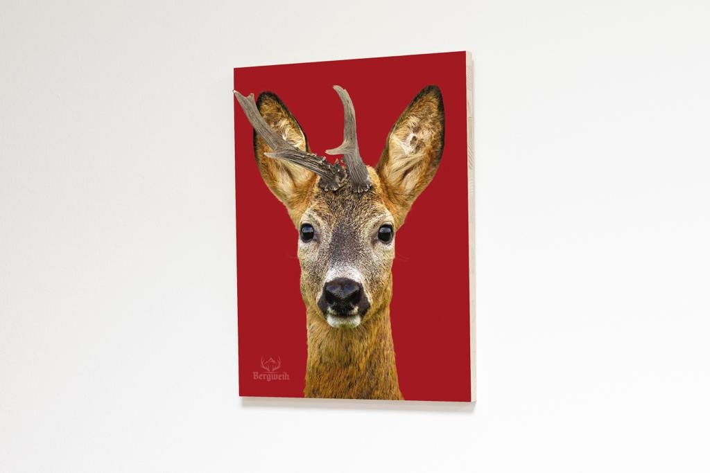 Robuck Background Roebuck Fritzi Background Red - Etsy