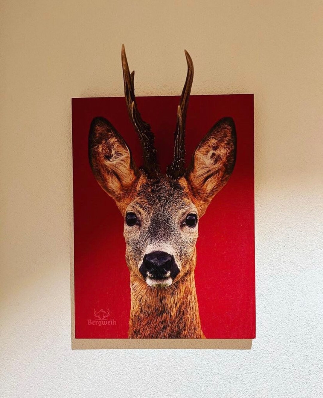 Robuck Background Roebuck Fritzi Background Red - Etsy