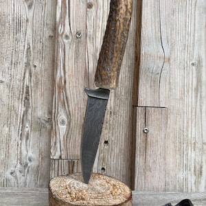 Peut inclure: Un couteau à lame fixe doté d'une lame en acier damas au motif ondulé distinctif et d'un manche incurvé en bois de cerf brun texturé. Le couteau est positionné verticalement, sa pointe étant enfoncée dans une rondelle de bois circulaire.