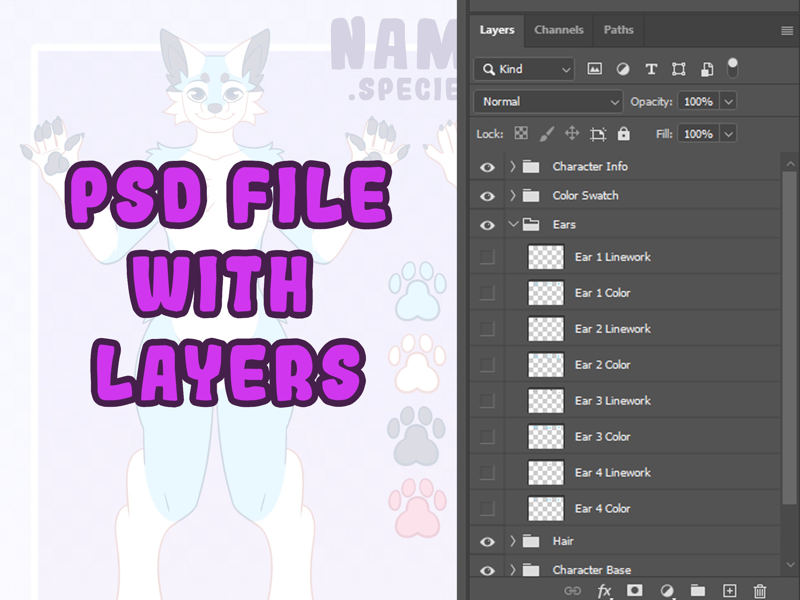 Male Canine Reference Sheet Base - Instant Download - Etsy