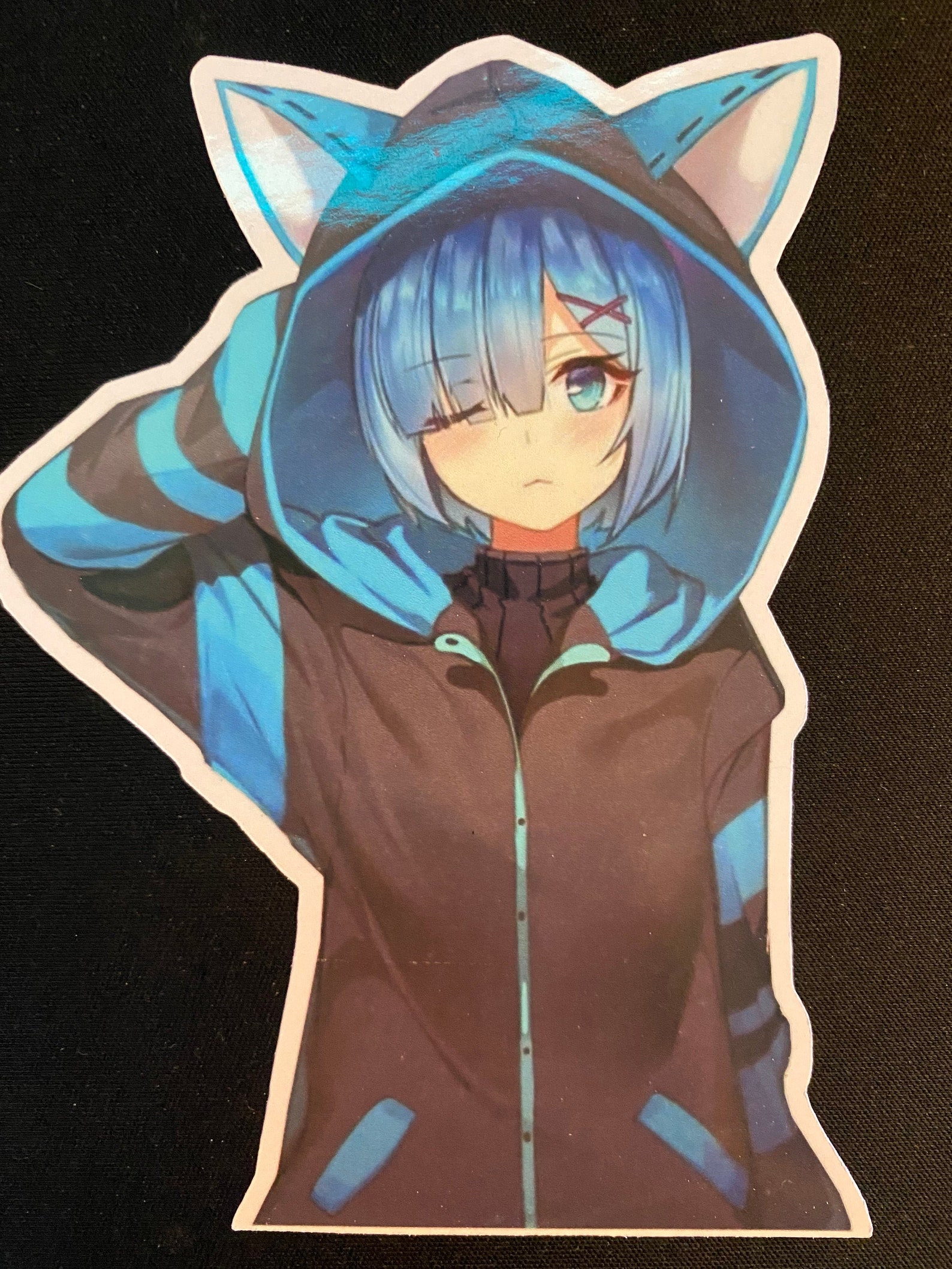 rem re zero cat