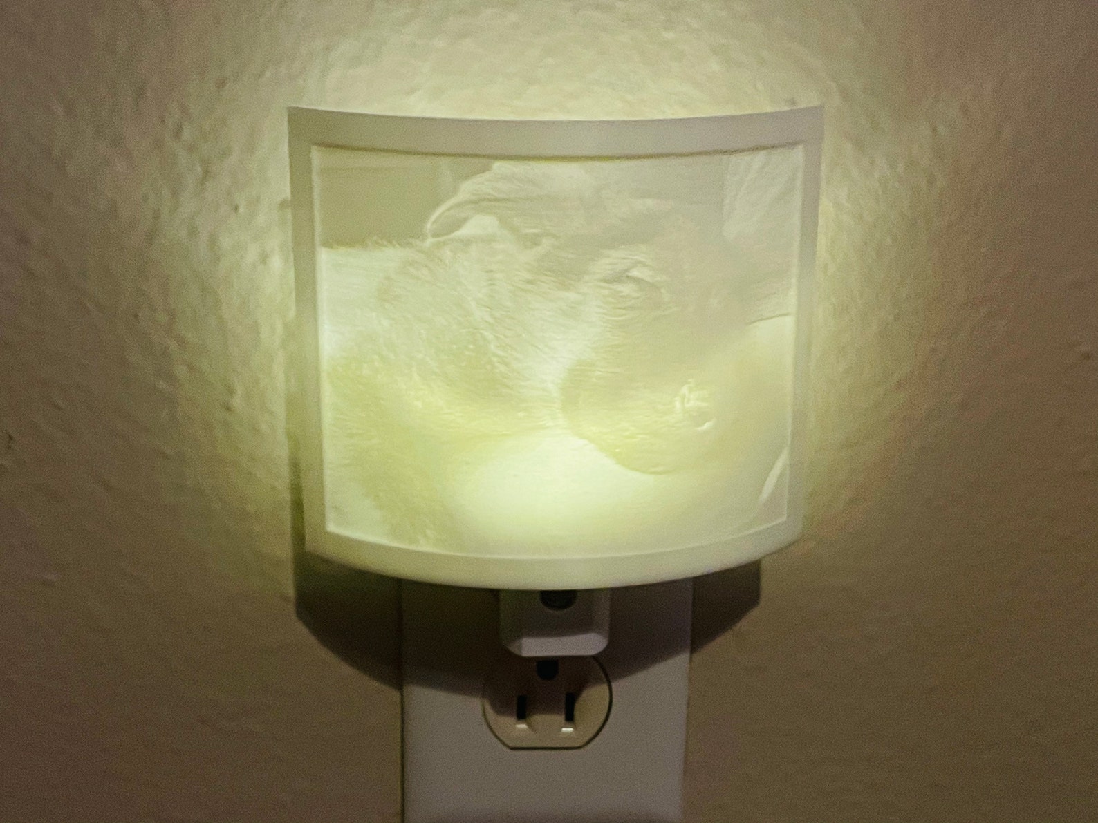 Custom Lithography Night light shade Etsy