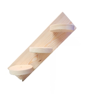 Chinchilla steps - small
