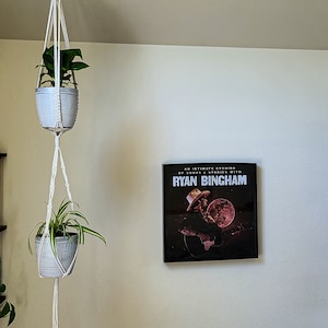 May include: Two potted plants hanging from a macrame plant hanger. The plants are in white pots and the hanger is white. A framed poster with the text "An Intimate Evening of Songs & Stories with Ryan Bingham" is on the wall behind the plants.